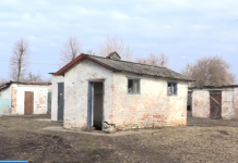 Сорвали доски туалета: стали известны подробности спасения выброшенного младенца в Харьковской области