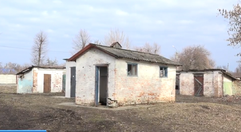 Сорвали доски туалета: стали известны подробности спасения выброшенного младенца в Харьковской области