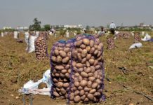 Нехватка мигрантов стала угрозой для производства еды в России