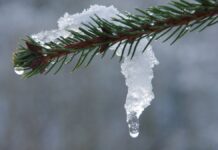 Украину ждет неделя аномальной погоды: возможны температурные рекорды