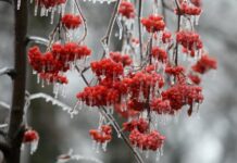 Завтра в Украине аномальная погода: такого в январе не было давно