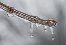 Украину накроет мощная волна тепла — ожидаются температурные рекорды