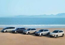 Li Xiang стал самым крупным китайским производителем электромобилей NEV в 2024 году