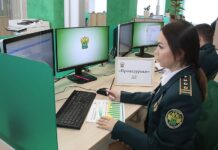 Таможня требует доплат за параллельный импорт автомобилей