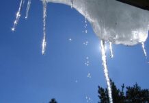 Мартовская погода в январе: Украину накроет аномальное тепло