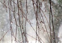 Только в 3 областях Украины 19 января будет дождь — Укргидрометцентр