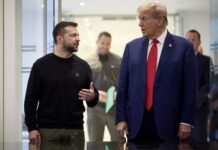 Зеленский назвал два качества Трампа, благодаря которым он может остановить Путина