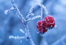 В Украине резко снизится температура: где будет холоднее всего