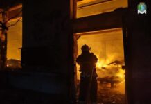 Россия атаковала дронами украинские порты на Дунае – есть разрушения