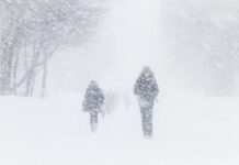 В Украине завтра сильные морозы, а мощные снегопады уже на подходе