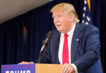 «Почему нет»: экономист обрисовал перспективы сотрудничества с Америкой по редкоземельным металлам