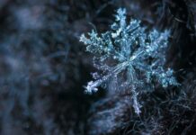 Ждать ли холодов в феврале: синоптики рассказали, каким будет последний месяц зимы