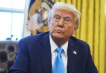 Трамп хочет от Зеленского прав на 50% минеральных ресурсов Украины — СМИ