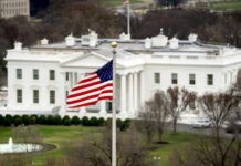 У Трампа отреагировали на решение Зеленского не подписывать соглашение по ископаемым