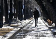 Аномально теплая зима может снизить урожайность сельхозкультур