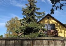 Аренда частных домов подорожала за год на 26%