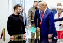 «Очень хорошо», — Трамп отреагировал на беседу с Зеленским