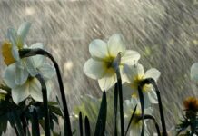 На Украину надвигаются ливни, грозы и шквалы, но есть и приятный момент