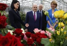 Мишустин в теплице: от голландских корней до русских роз