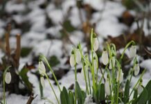 Погода в начале апреля удивит: в каких регионах Украины ждать возвращения зимы