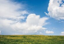 Погода в Украине скоро изменится: украинцев ждет новый «сюрприз»