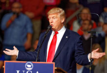 Трамп поможет России обойти санкции ЕС: начали с алюминия