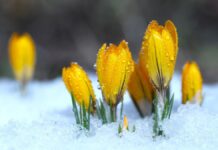 Ночные морозы и снег: где в Украине завтра ударит непогода и когда ждать потепления