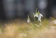 Погода в Украине резко сменится: в каких областях ждать почти летнего тепла