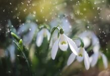 Много тепла и дождя: какая погода будет в Украине 22 и 23 марта