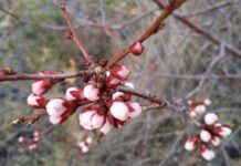 В Украине в эти выходные погода будет капризной: в некоторых областях тепло и сухо, а где-то пройдут дожди