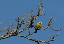 «В Украину придет воздух из Арктики», – синоптик рассказала, где на выходных задержится тепло