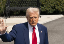 Нокаутированный Трампом Евросоюз предложил сделку по нулям