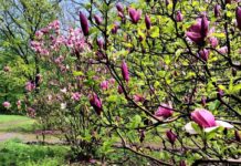 В Украине весна в разгаре, но холод не уходит: прогноз погоды на 14 апреля от Укргидрометцентра