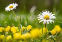 Похолодание будет недолгим: синоптик назвал дату резкого потепления в Украине