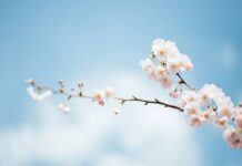 Возвращение весны после залива арктического холода: синоптик назвала сроки потепления в Украине