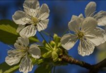 Синоптик дала прогноз погоды в Украине на выходные и рассказала, где пройдут дожди
