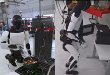 Tesla показала, что новый робот Optimus способен заменить домработницу