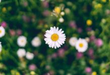 Лето придет по расписанию? Синоптик рассказала, когда ждать повышения температуры