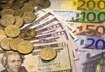 В Украине активизировались фальшивомонетчики: на какие банкноты стоит обратить внимание – НБУ