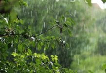 Украину ждут несколько дней дождей – как долго продлится непогода