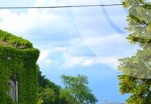 Какая будет погода в Украине в июне: синоптики удивили абсолютными минимумом и максимумом температуры