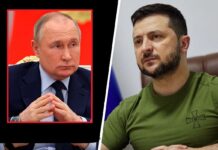 В Сети сравнили Зеленского и Путина: поступок президента Украины удивил в соцсети