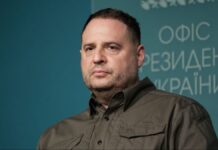 У Зеленского отреагировали на идею 30-дневного перемирия: «Процесс будет двигаться быстро»