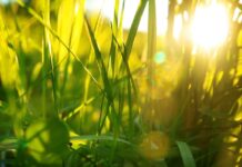 От +9°C до +29°C: в понедельник Украину впечатлит температурный контраст