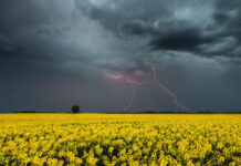 В Укргидрометцентре дали прогноз на ближайшие 3 дня и предупредили о существенном похолодании