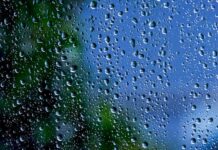 Два региона Украины накроют грозовые дожди, град и шквалы: когда ждать непогоды