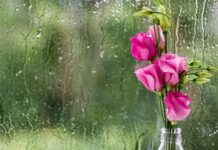 Июнь в Украине завершится прохладой и дождями: когда вернется тепло и где будет жарче всего