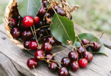 Черешня и вишня становятся «золотыми»: цены на фрукты и ягоды взлетели на рекордную высоту
