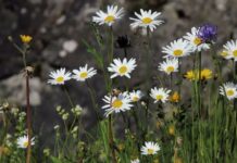 Украину накроют дожди и аномально низкая температура — когда ждать потепления