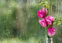 Часть Украины накроют неожиданные погодные условия: в каких областях ждать сюрпризов